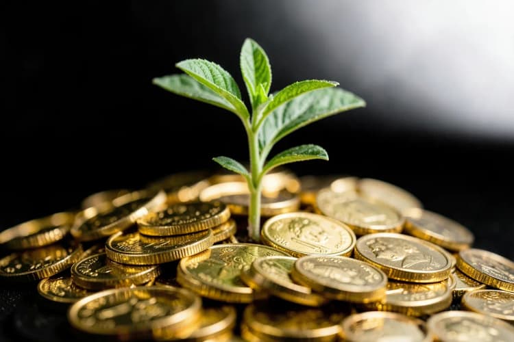 Uma planta crescendo a partir de um monte de moedas, com um fundo desfocado.
